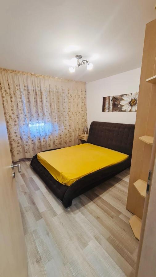 Bacovia Cazare Coresi Apartment Brasov Exterior photo